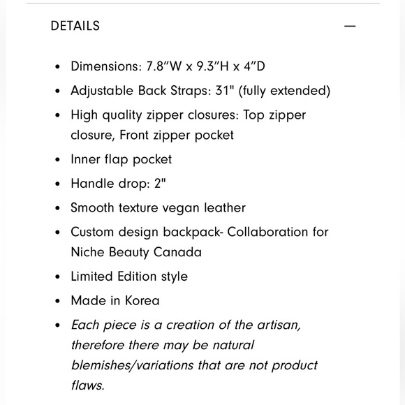 Niche mini bagpack - Picture 11 of 11